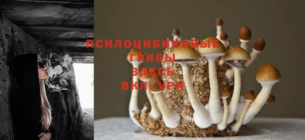 COCAINE Строитель