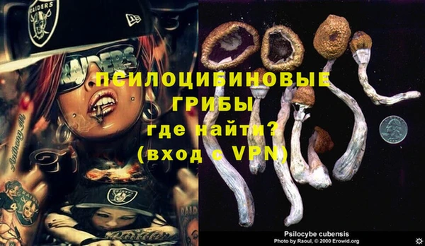 мет Баксан