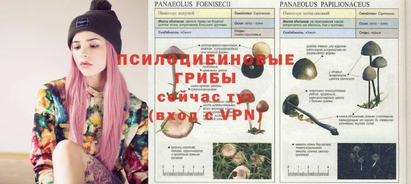 ГАЛЛЮЦИНОГЕННЫЕ ГРИБЫ Струнино