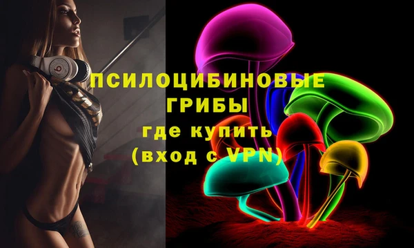 шишки Ступино